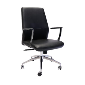 CL3000M-1 executive medium back chair - benchmark